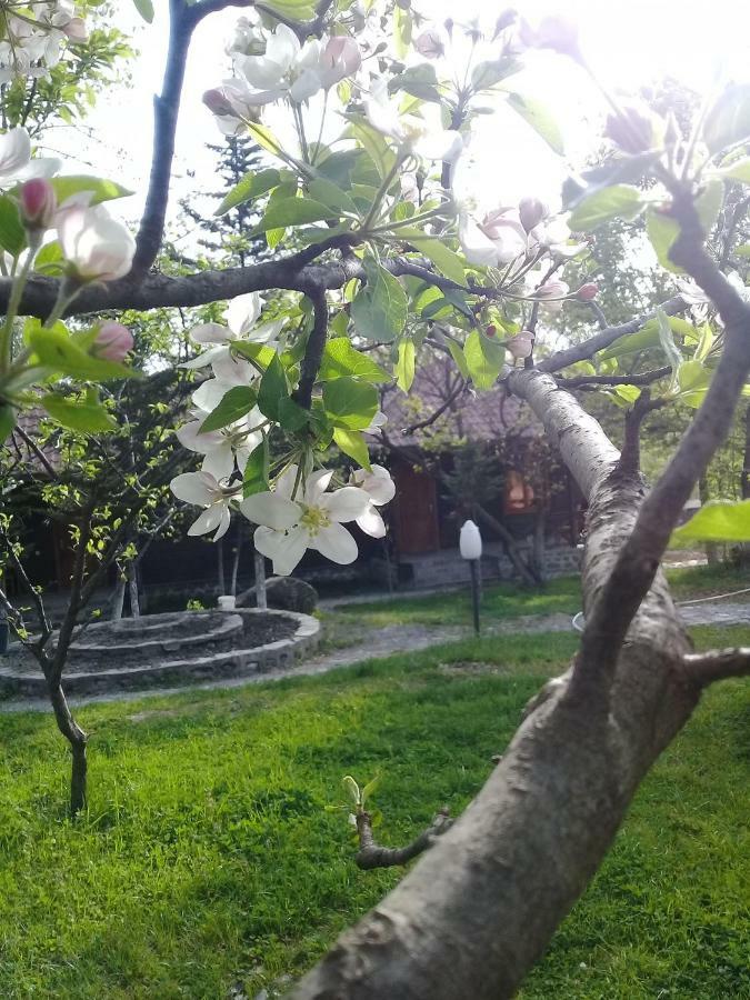Kish Adasi Şǝki 외부 사진
